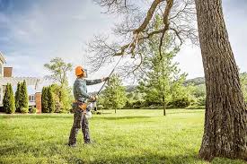 How Our Tree Care Process Works  in  Chittenango, NY